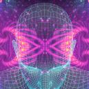 Alles Wissenserte Über 5-MeO-DMT