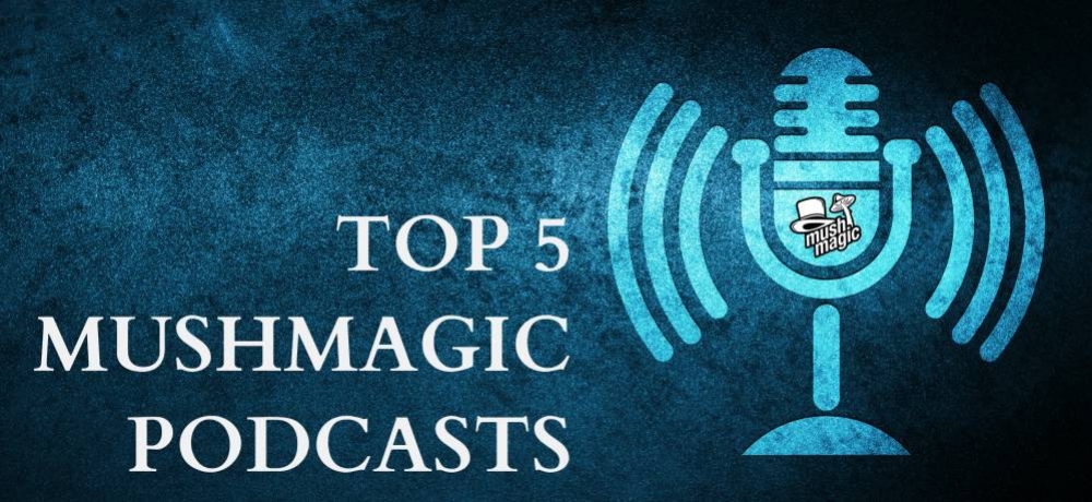 Die 5 besten Drogen-Podcasts