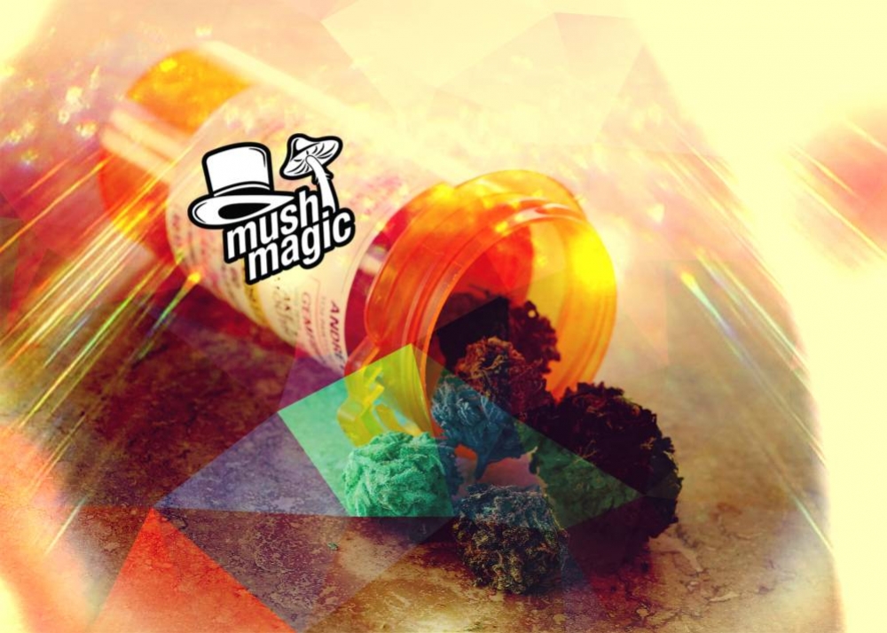 Treten Psychedelika in die Fußstapfen von Weed?