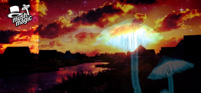Psychedelische Psilocybin-Therapie bei Depressionen