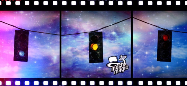 Was sind Trip-Stopper und wie funktionieren sie?