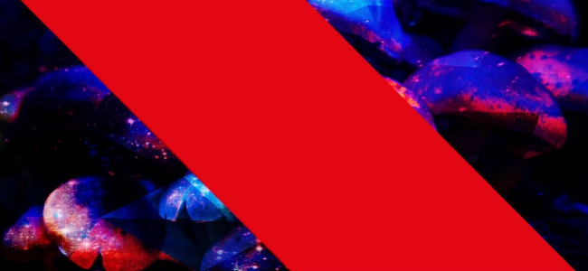 Darum sind psilocybinhaltige Trüffel in den Niederlanden legal