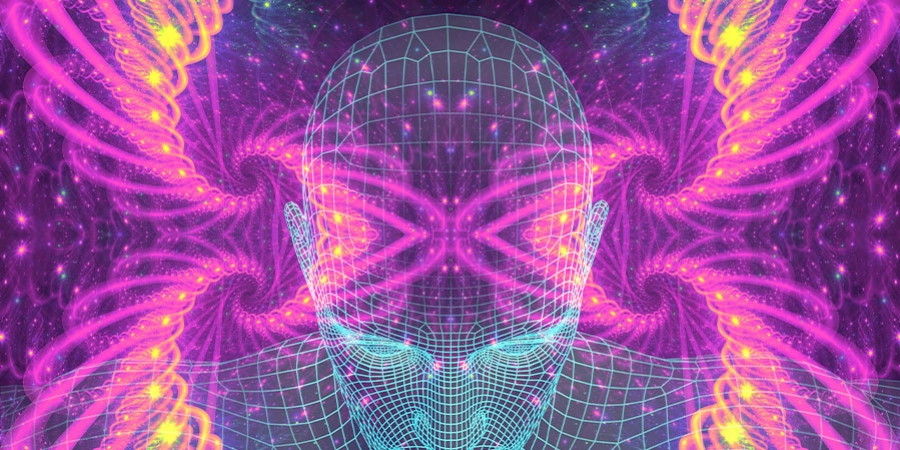 Alles Wissenserte Über 5-MeO-DMT