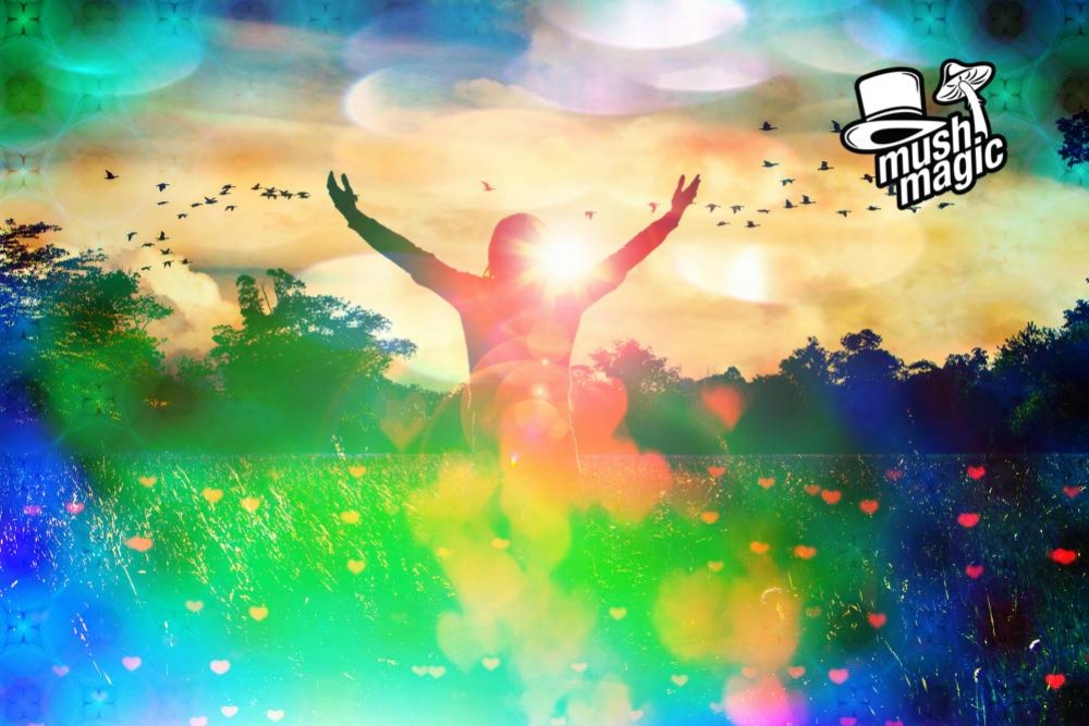Magic Mushrooms: Ein Heilmittel Gegen Suchterkrankungen?