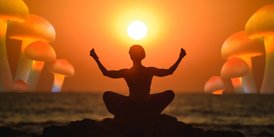 Zauberpilze Und Yoga: Wie Füreinander Geschaffen