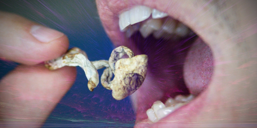 Kann Man Süchtig Nach Magic Mushrooms Werden?