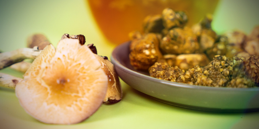 Magische Trüffel Vs. Magic Mushrooms: Was Ist Besser?