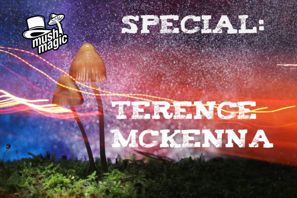Leben Und Geist Von Terence McKenna