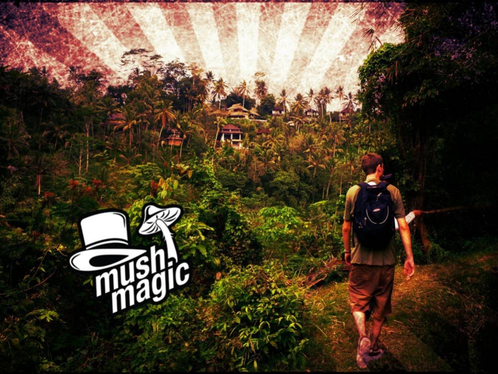 Bali & Magic Mushrooms: Ein Trip in den Tropen
