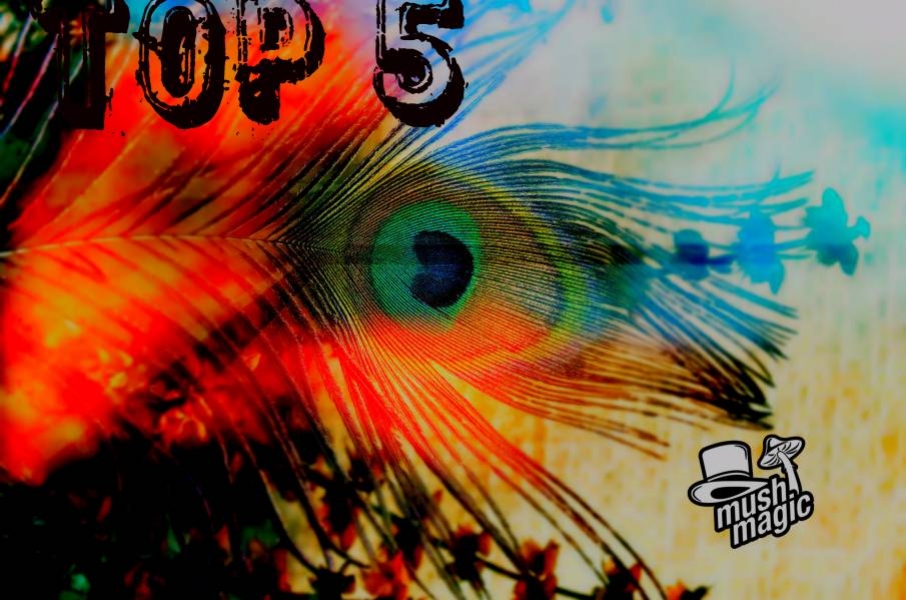 Top 5 Der Stärksten Magischen Trüffel