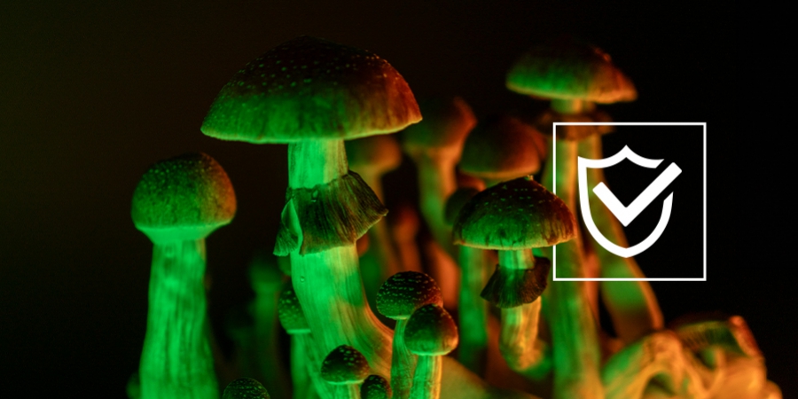 Tipps Für Einen Sicheren Magic-Mushroom-Trip