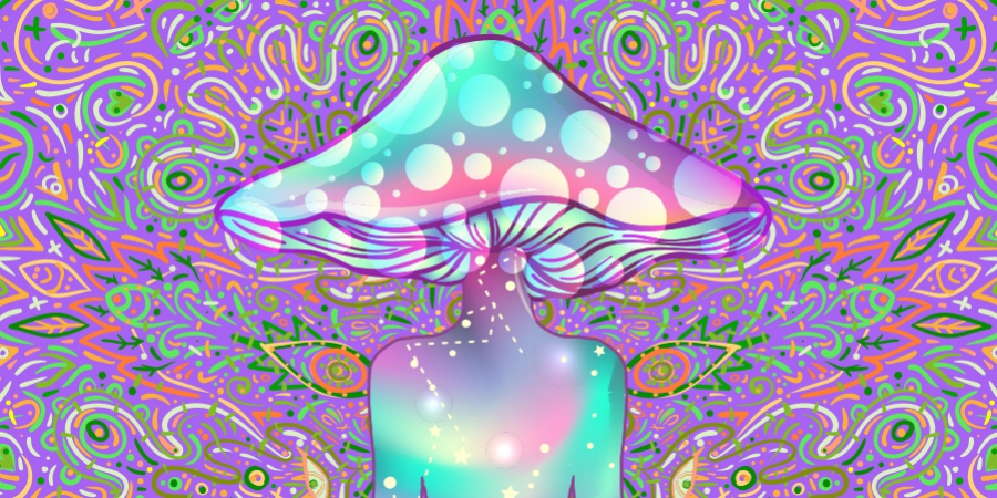 Was ist der Unterschied zwischen Magic Mushrooms und DMT?