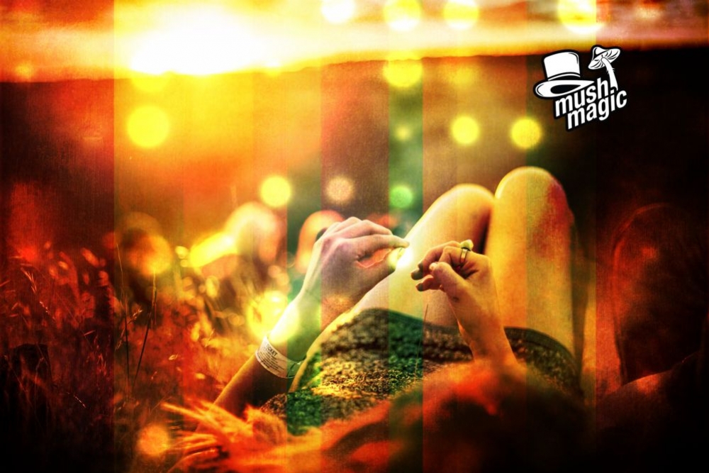 Psychedelika und Psychotherapie: Hand In Hand