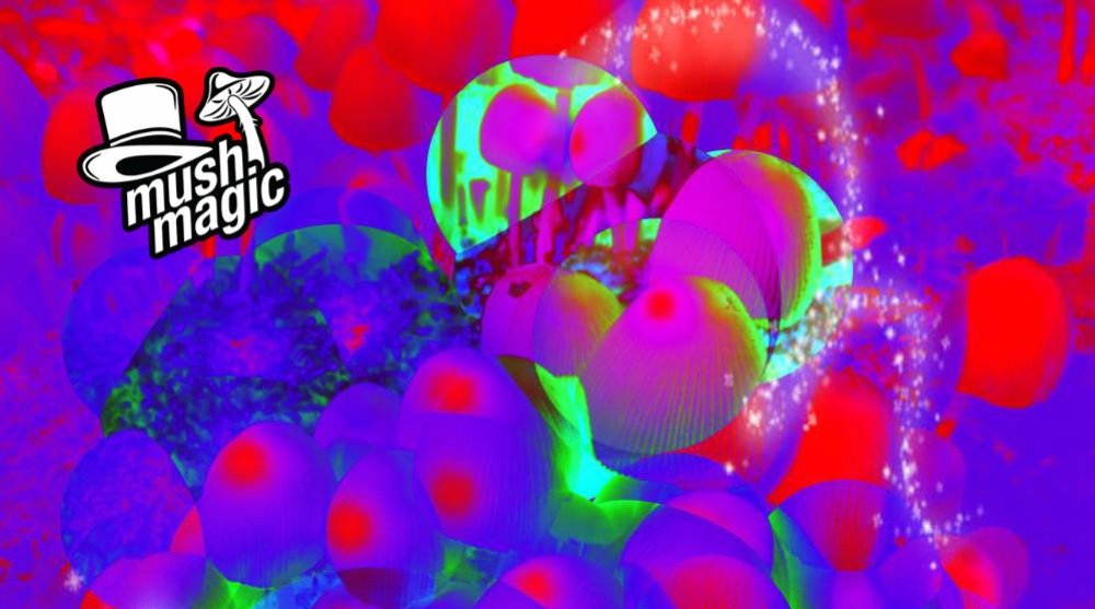 Der Unterschied zwischen Psilocybin und Psilocin