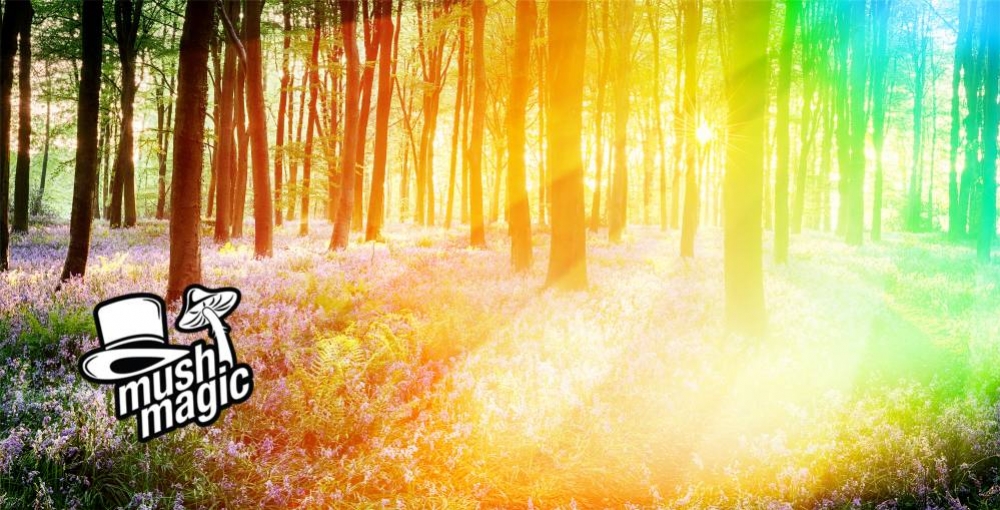 Die häufigsten visuellen Komponenten eines psychedelischen Erlebnisses