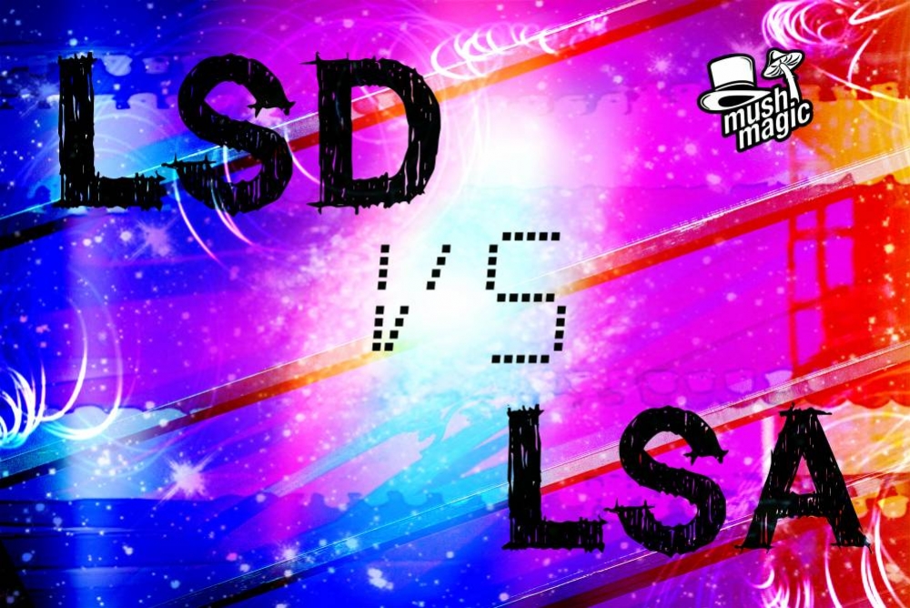 Was ist der Unterschied zwischen LSA und LSD?