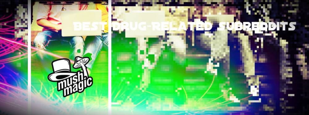 Die besten Subreddits mit Drogenbezug