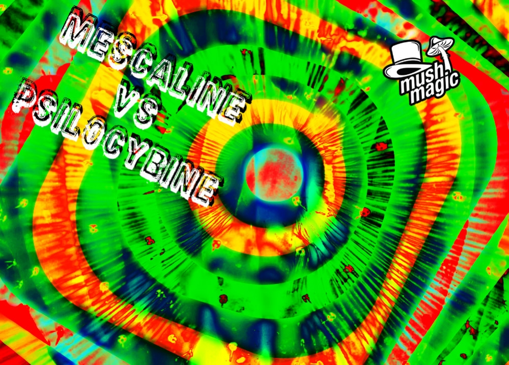 Mescalin vs. Psilocybin: Was ist der Unterschied?