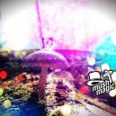 Psychedelika für die Behandlung psychischer Erkrankungen
