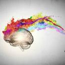 Cooles Video: Wie Zaubertrüffel Mit Dem Gehirn Interagieren