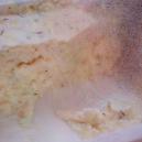 Substratkuchen mit Myzel wiederverwerten: So geht's! 