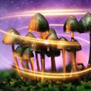 Wie Magic Mushrooms ursprünglich zu ihrer Magie kamen