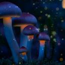 7 Natürlich Vorkommende Psychedelika