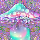 Was ist der Unterschied zwischen Magic Mushrooms und DMT?