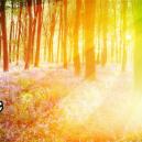 Die häufigsten visuellen Komponenten eines psychedelischen Erlebnisses
