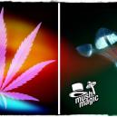 Pilze vs. Weed: Die Drogen, die die ganze Welt liebt