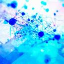 Psilocybin fördert das Wachstum neuer Gehirnzellen